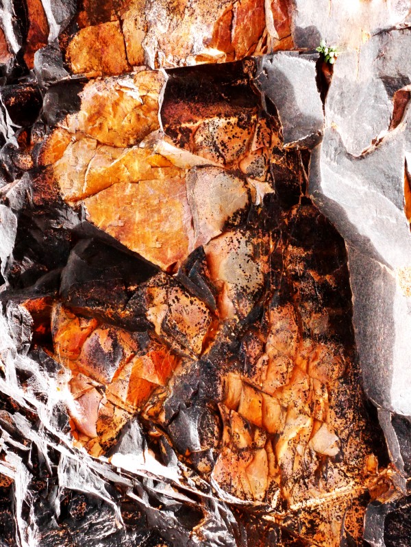 Australia Rocks - Abstract 20 by Lexa Harpell
